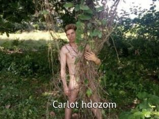 Carlot_hdozom
