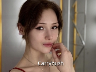 Carrybush