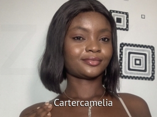 cartercamelia Zizi X