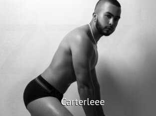 carterleee Zizi X