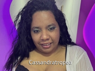 cassandratropea Zizi X