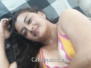 Cataleyabrizo