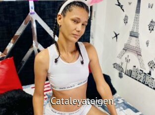 Cataleyateigen