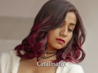 Catalinafox