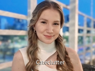 Cateclutter