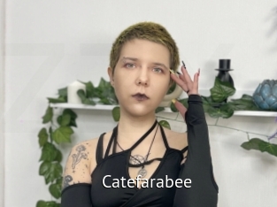 Catefarabee