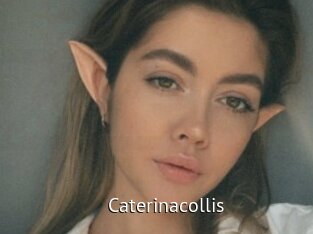 caterinacollis Zizi X