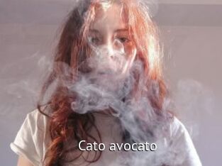 Cato_avocato