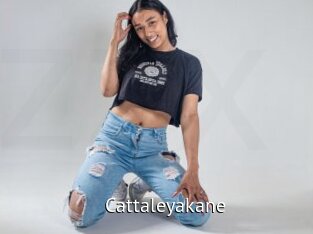cattaleyakane Zizi X
