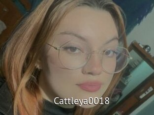 Cattleya0018