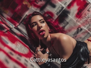 Cattleyasantos