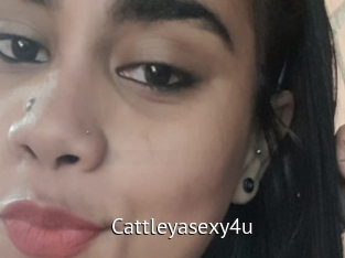 Cattleyasexy4u