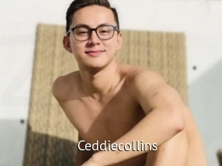 Ceddiecollins