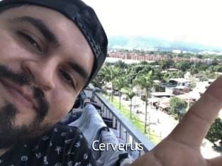 Cerverus