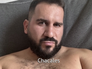 Chacales