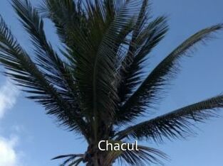 Chacul