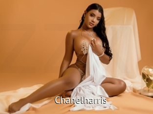 chanelharris Zizi X