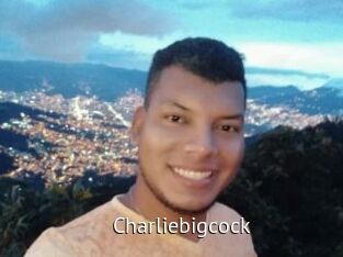 charliebigcock Zizi X