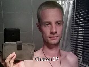Chaton19