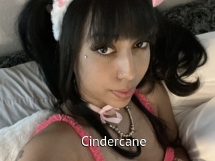 cindercane Zizi X