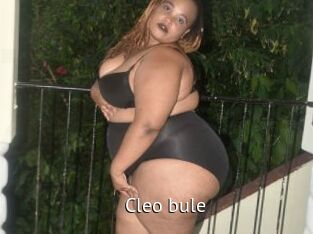 Cleo_bule