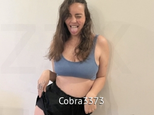 Cobra3373
