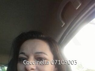 Coccinella-07105003