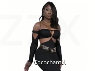 Cocochantel