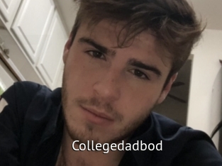 Collegedadbod