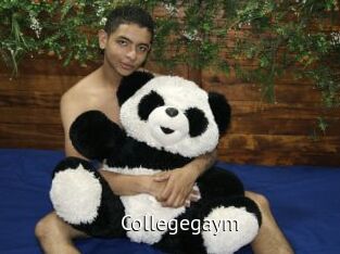 collegegaym Zizi X