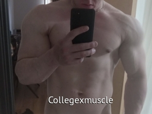 Collegexmuscle