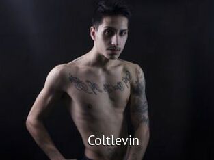 Coltlevin