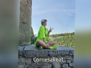 cornesakeat Zizi X