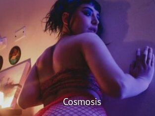 Cosmosis