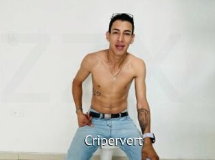 cripervert Zizi X