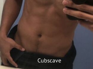 Cubscave