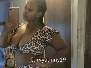 Curvybunny19