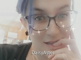 DaisyAster