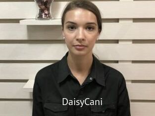 DaisyCani