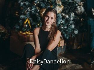 DaisyDandelion