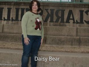 Daisy_Bear