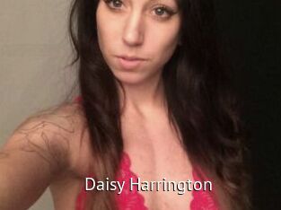 Daisy_Harrington