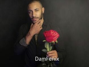DamFenix