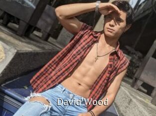 David_Wood