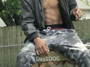 Day1DOG
