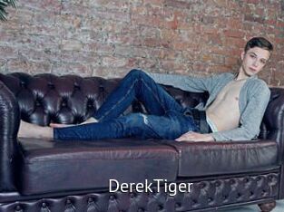 DerekTiger