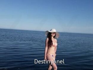 DestinyAnel
