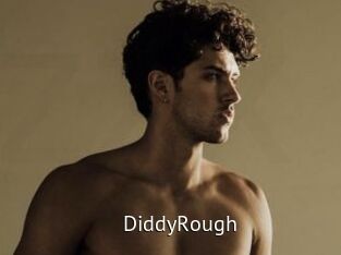 DiddyRough