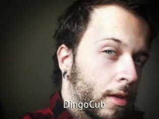 DingoCub