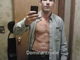 Dominantmale